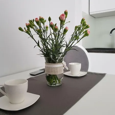 Daire Apartament Jagienka *